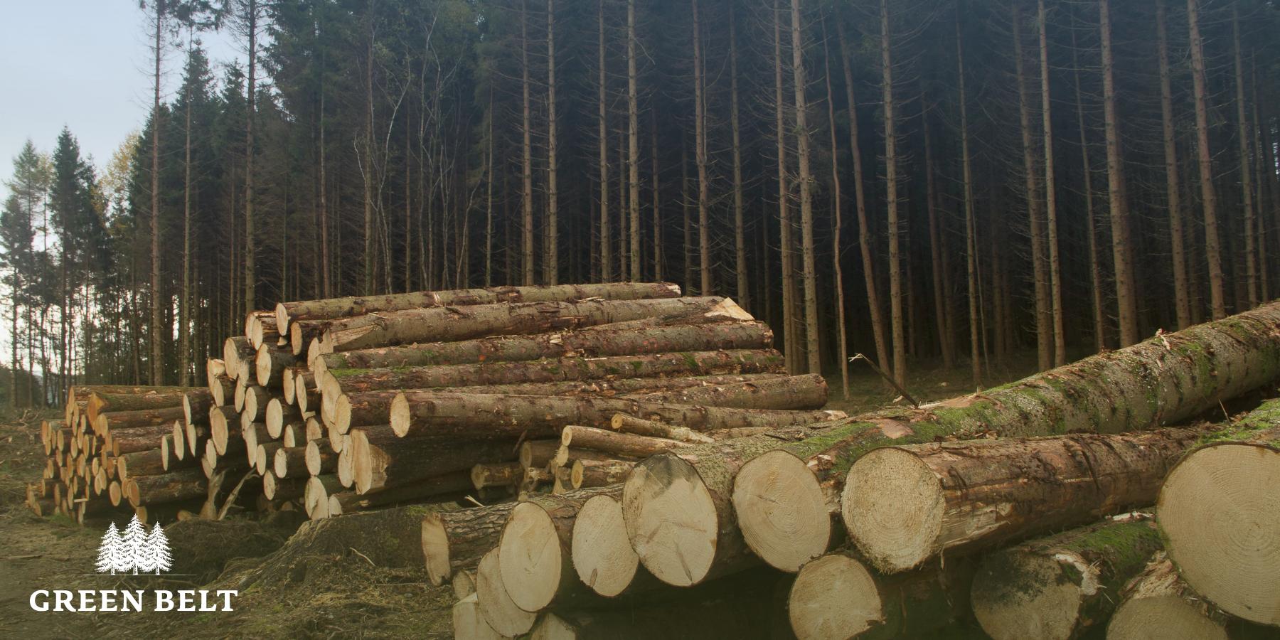Renewable Heat Incentives launch