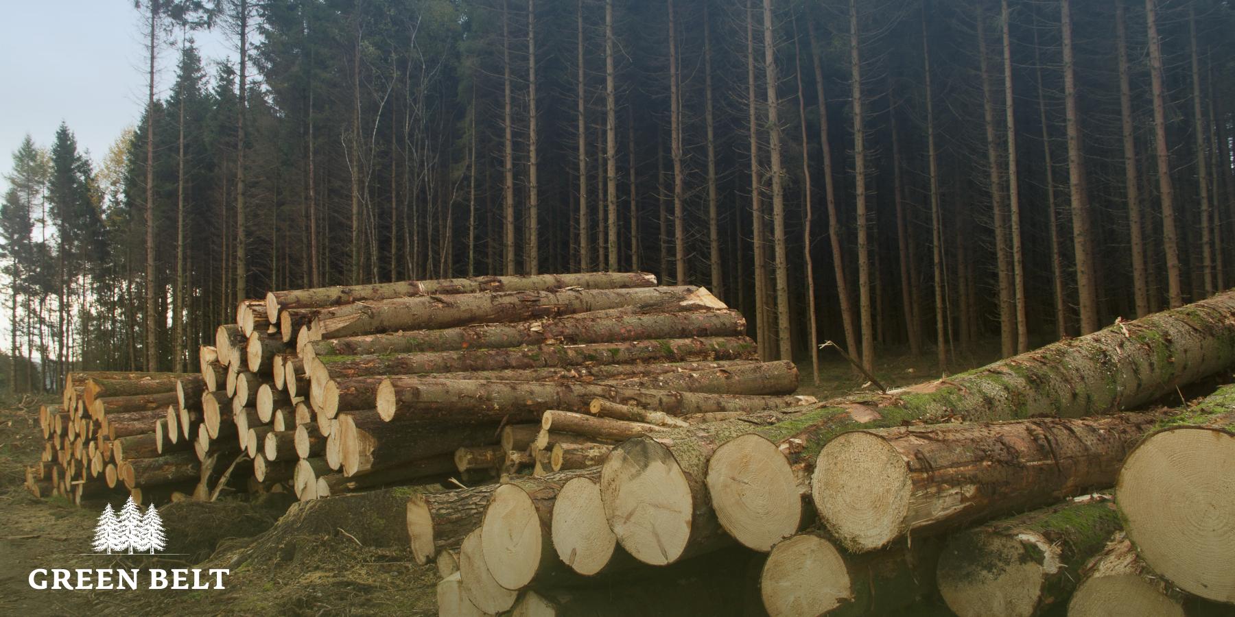 Green Belt delivering biomass overseas