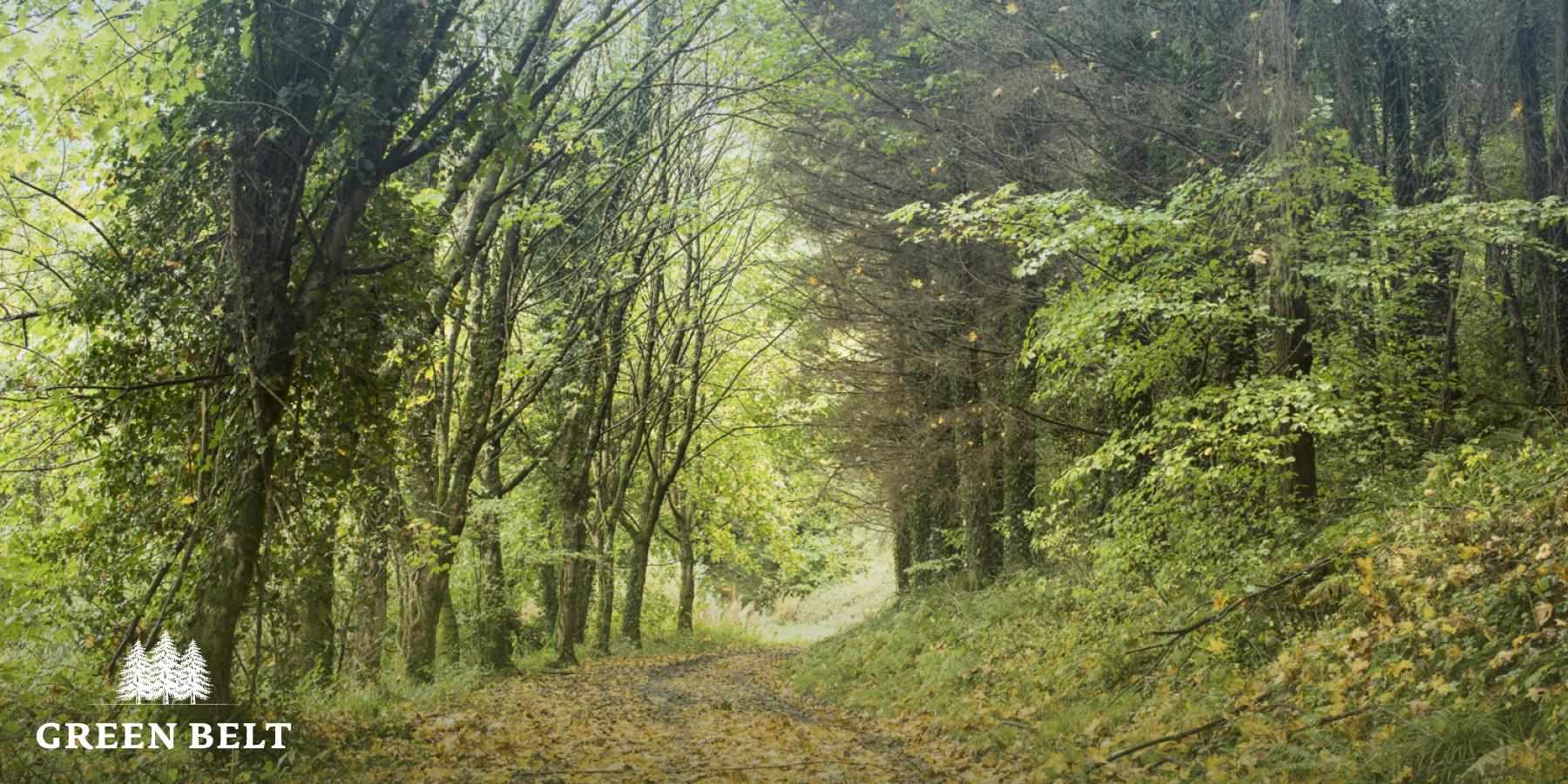 Green Belt present at Prosper Cavan event
