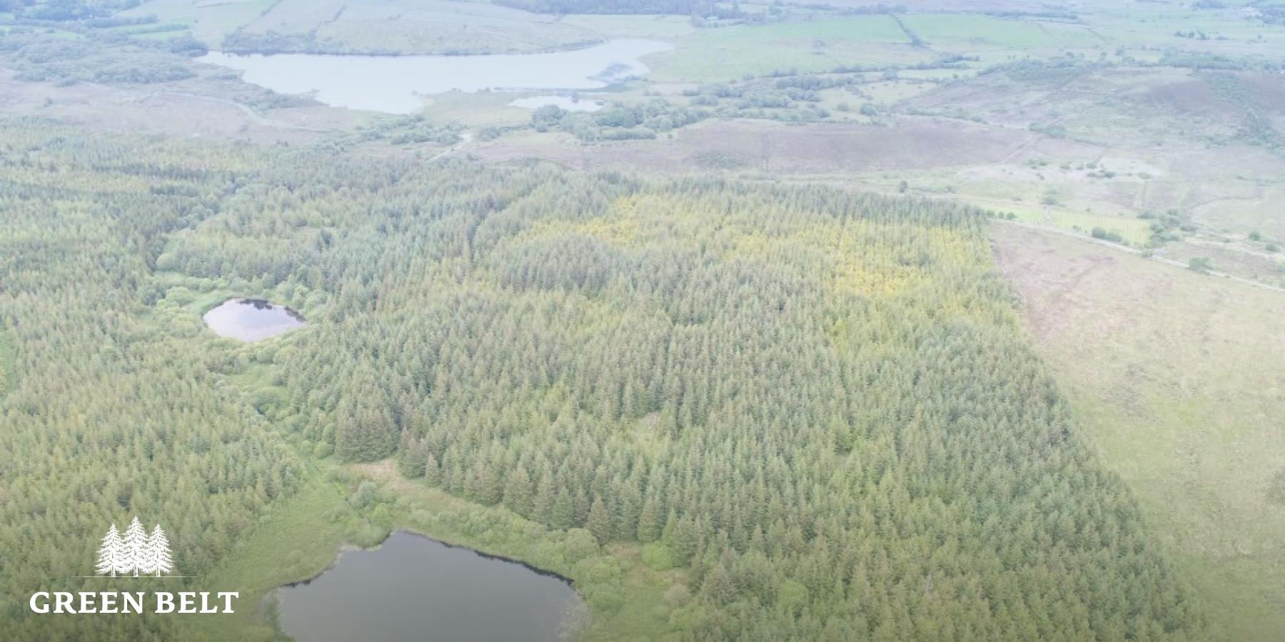 Cause of forest fire suspicious