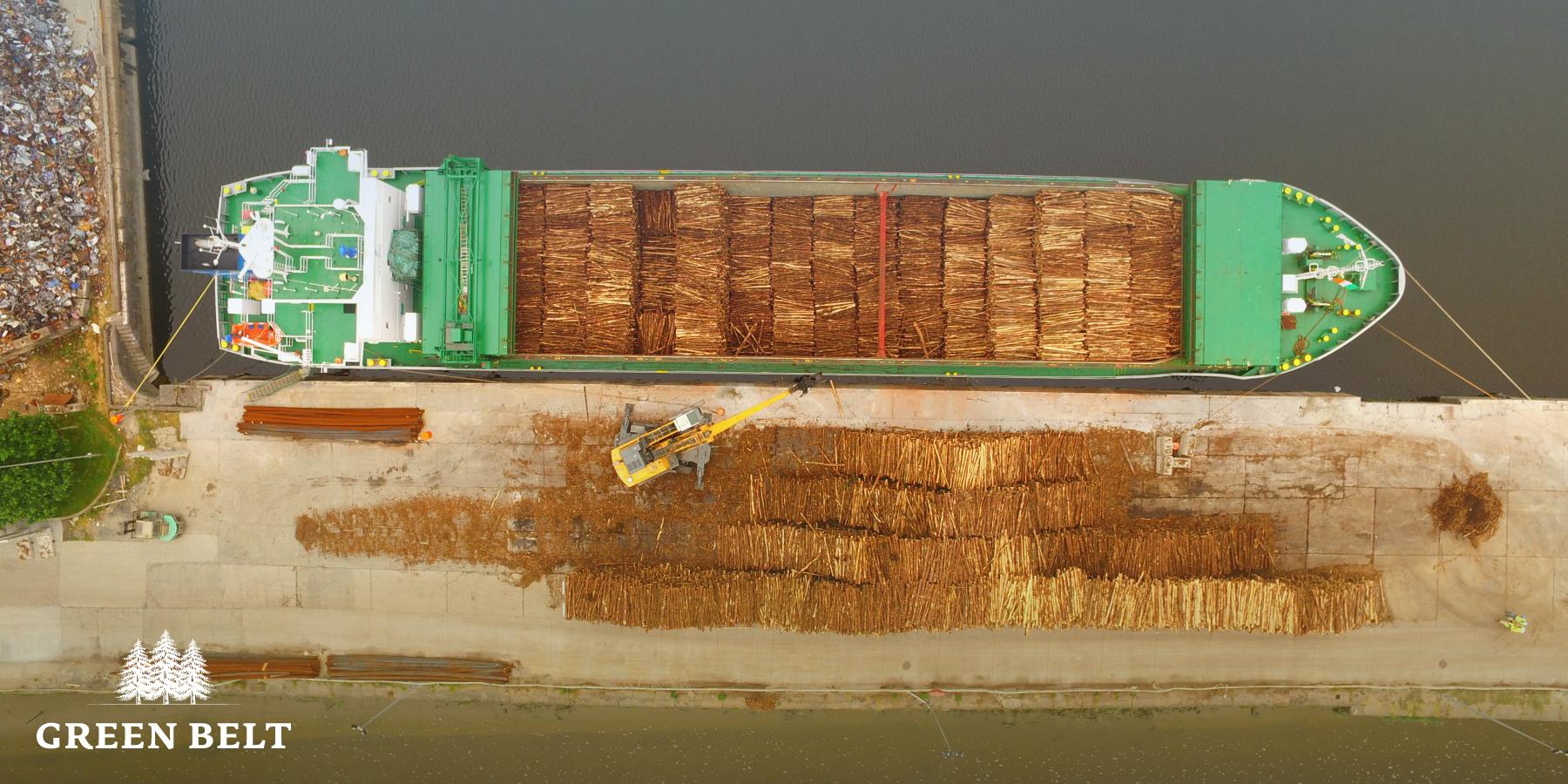 Biomass for climate change