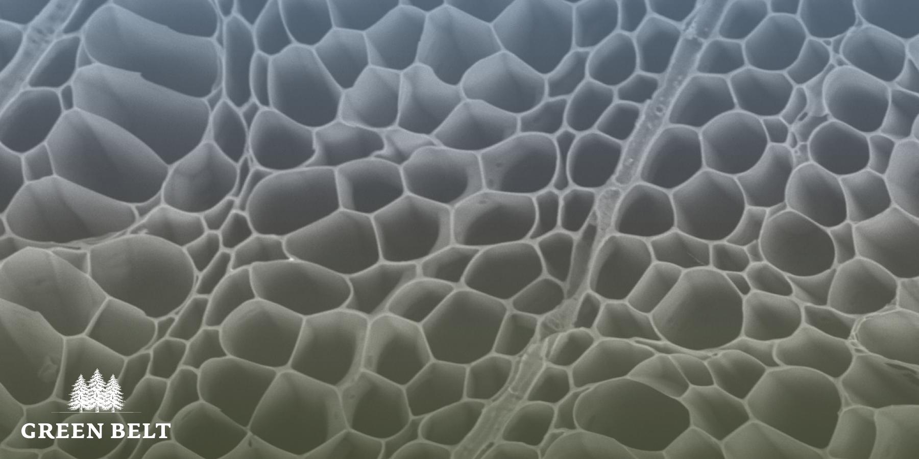 Biochar – your natural carbon store