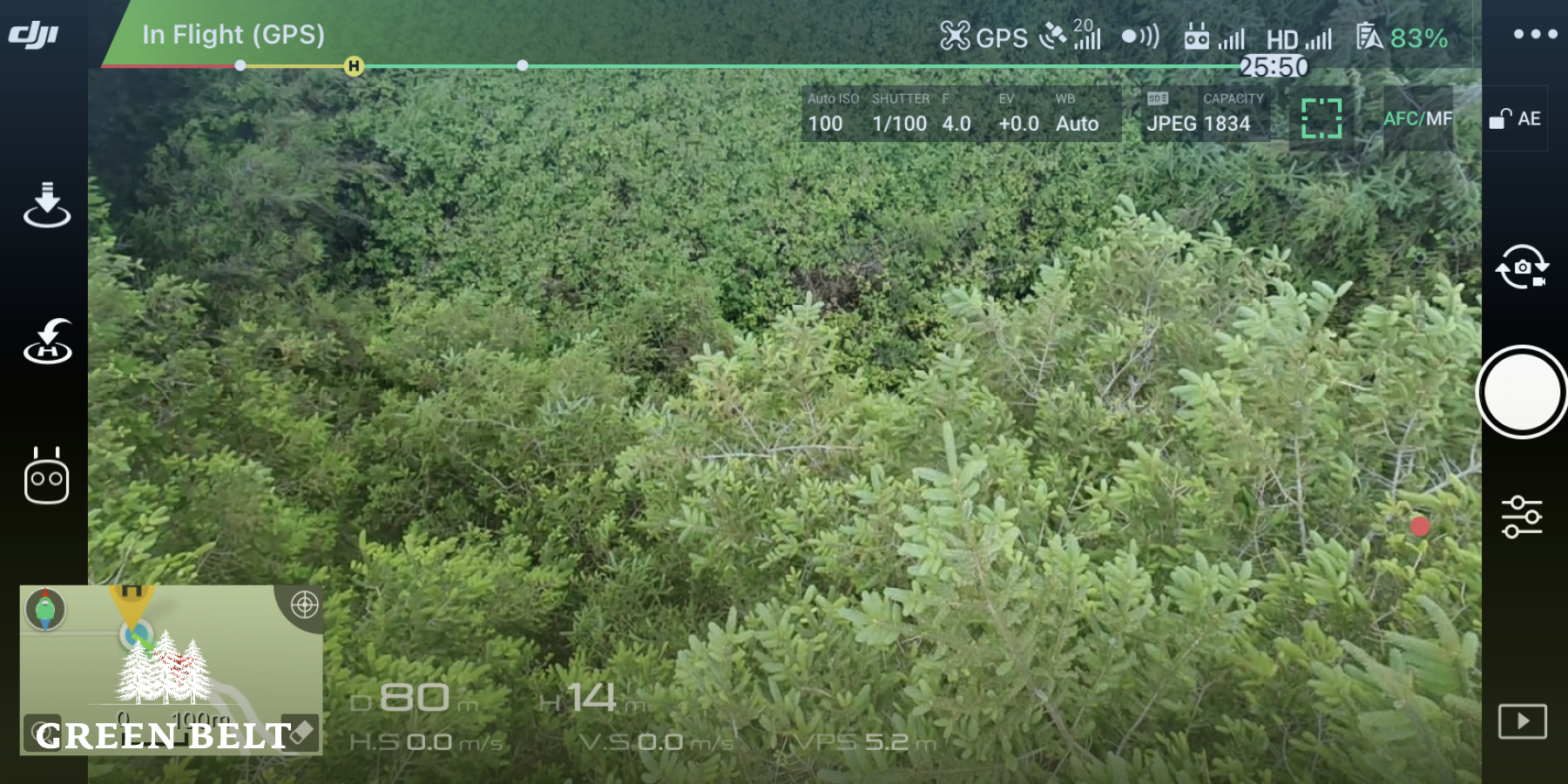 Science proves the value of forestry to Ireland