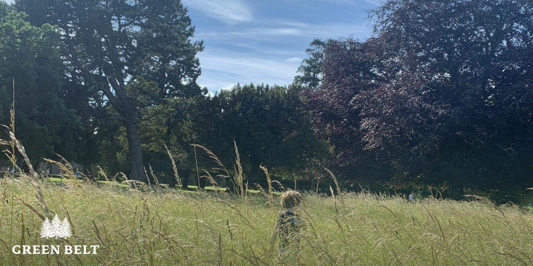 Ireland’s planting targets