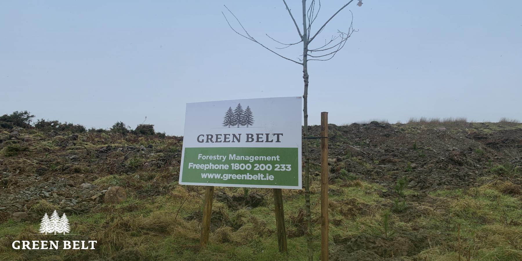 Green Light for new planting