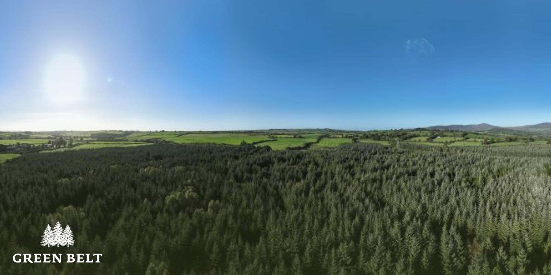 EU Certification of Carbon Removals
