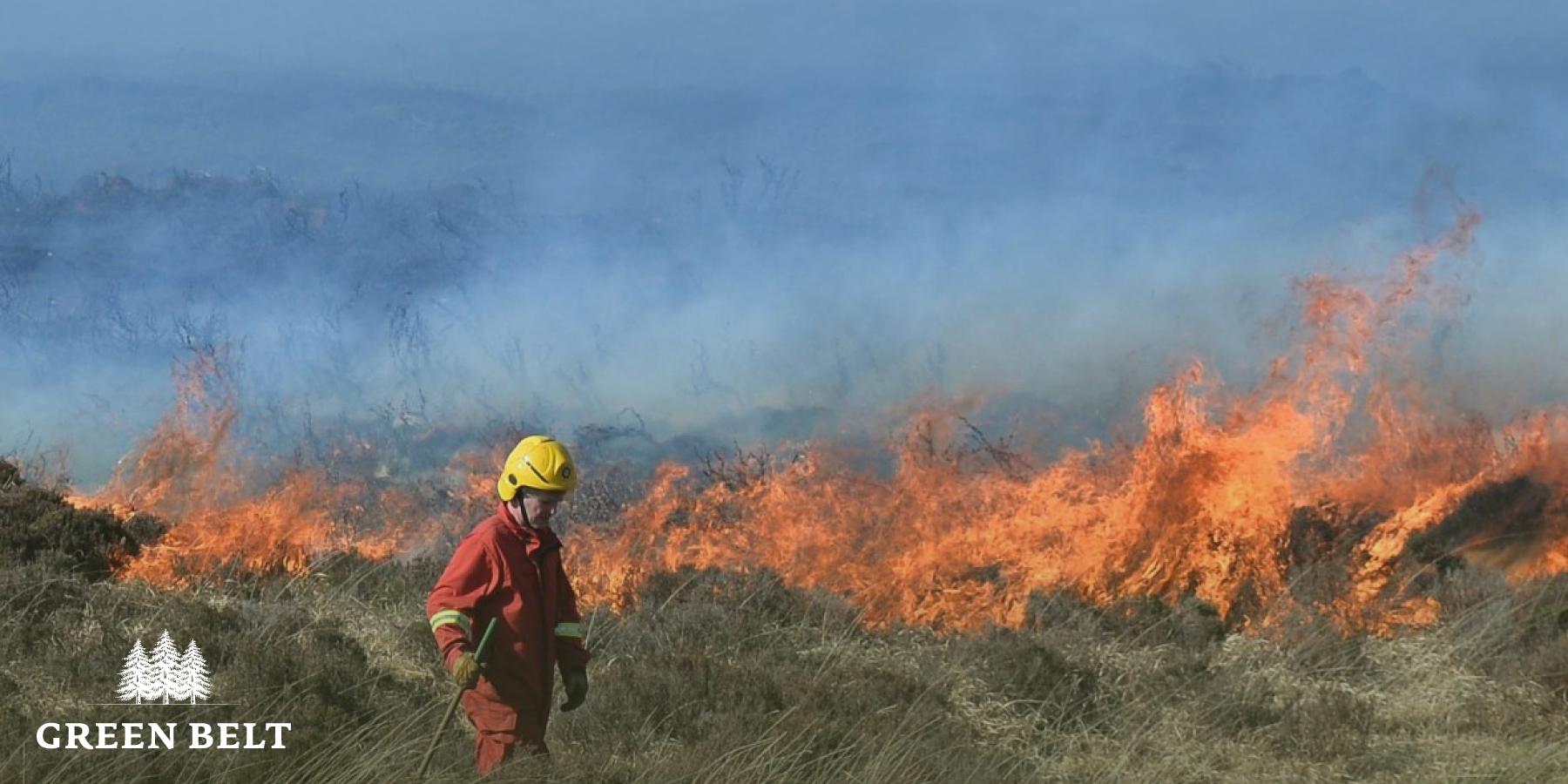 Forest & Wild Fires