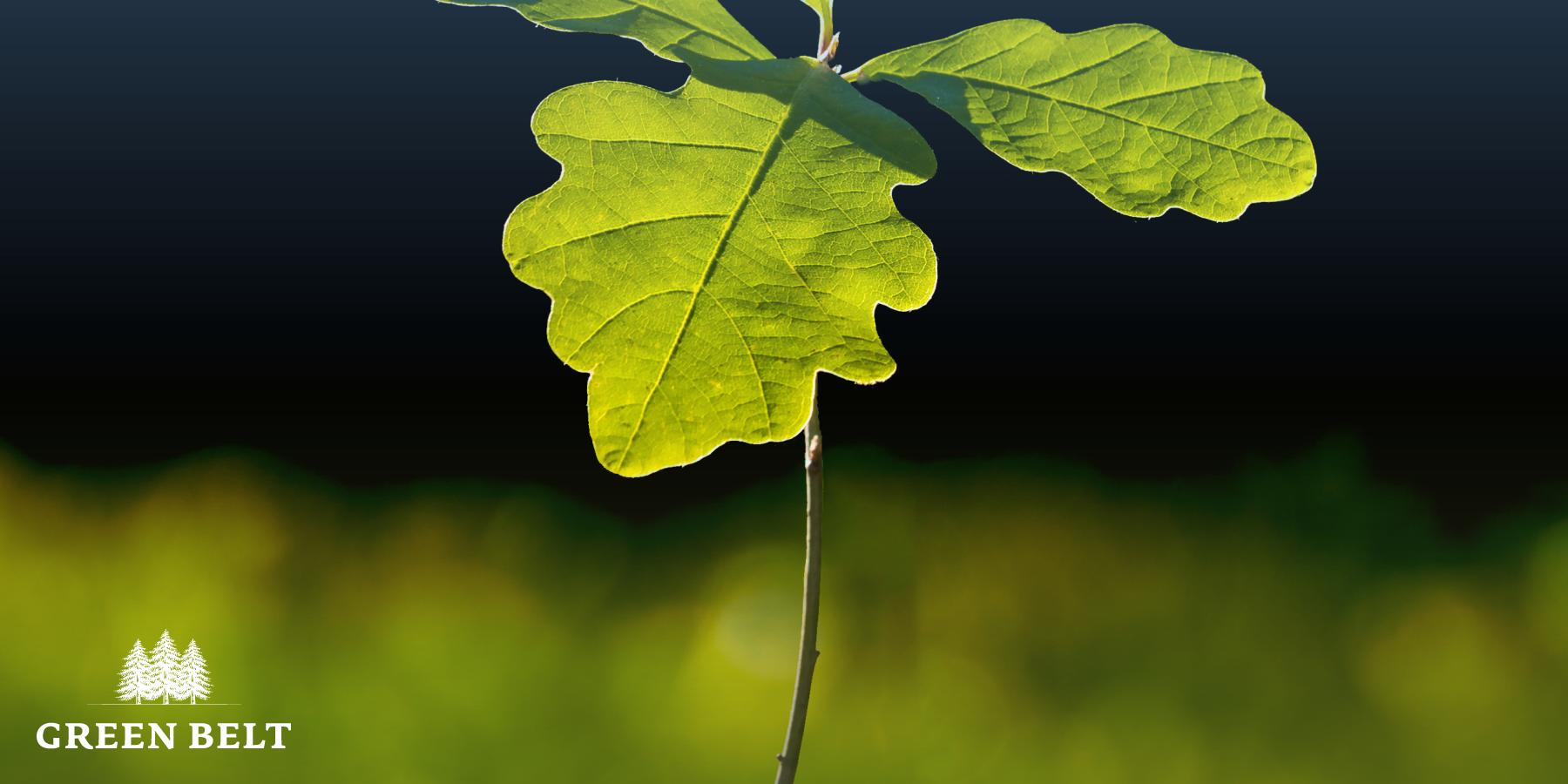 ESG and Natural Capital Services